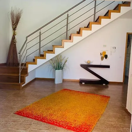 Rose Plaisir * Belinho