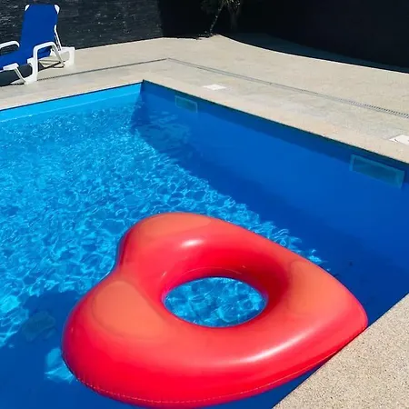 Rose Plaisir Belinho