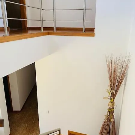 Rose Plaisir * Belinho