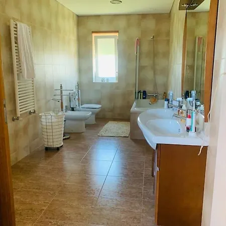 Rose Plaisir Belinho