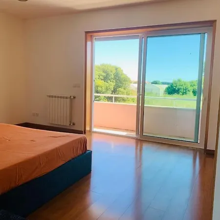 Rose Plaisir Belinho