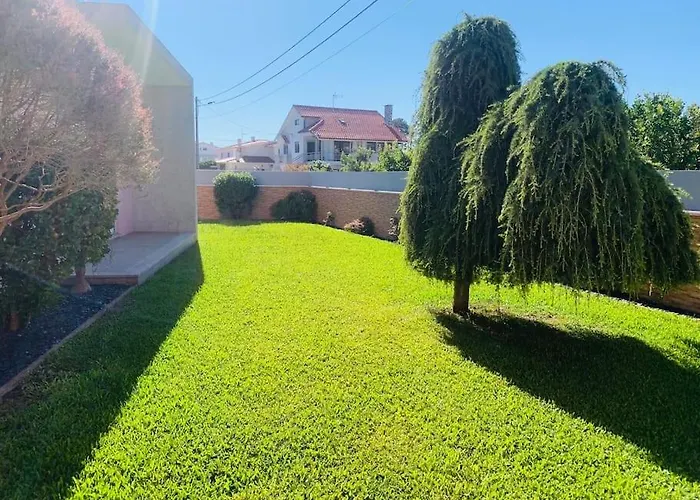 Rose Plaisir Belinho