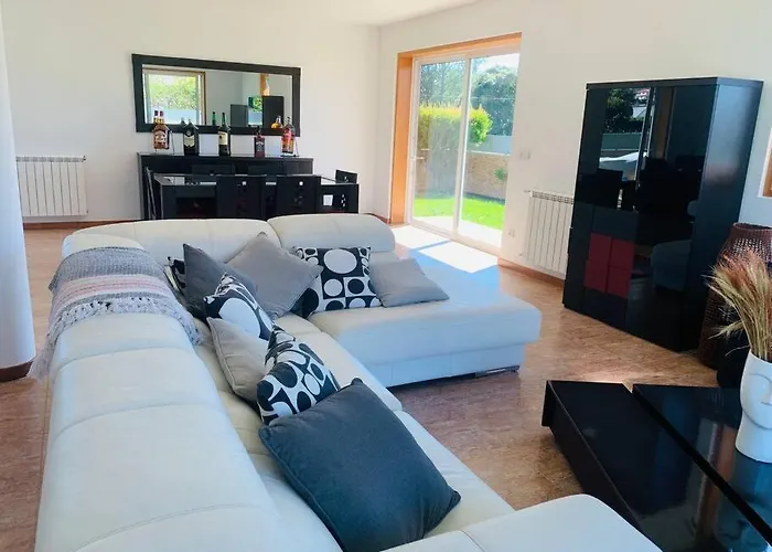 Rose Plaisir Belinho