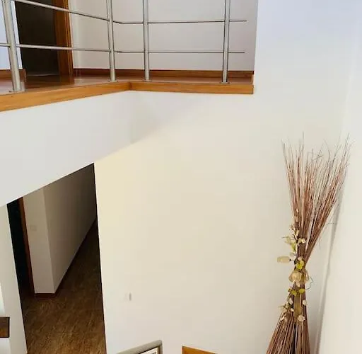 Rose Plaisir * Belinho