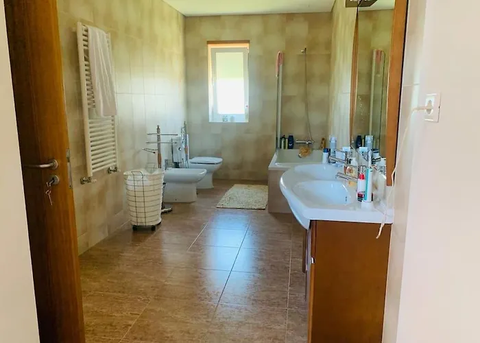 Rose Plaisir Belinho