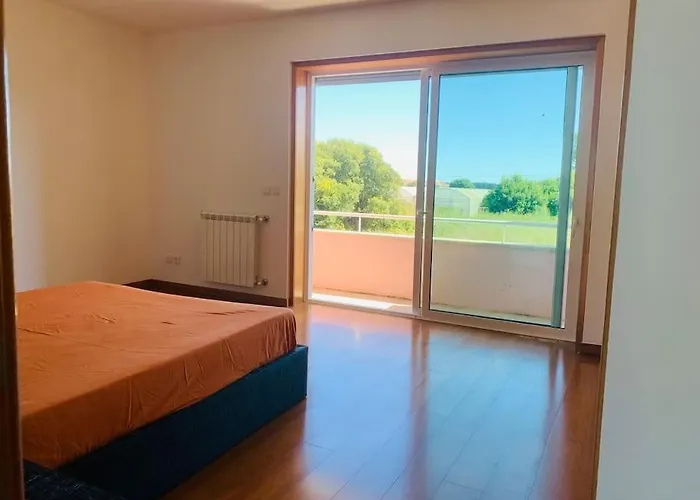 Rose Plaisir Belinho